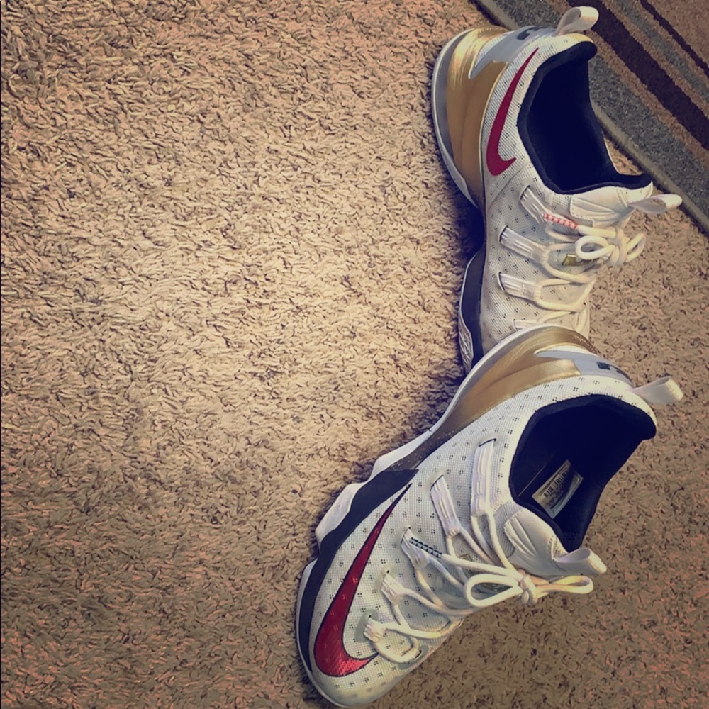 Lebron 11 low